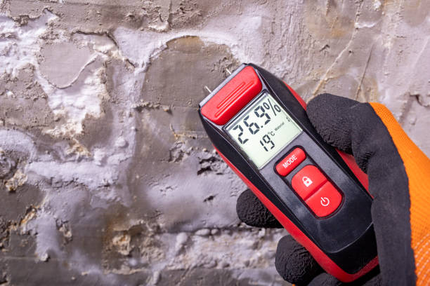 Best Mold Damage Repair  in West Easton, PA